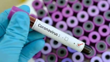 Kolombiya'da koronavirüs ölümleri artıyor