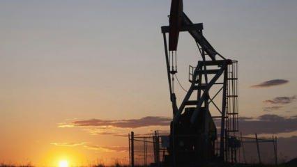 Rusya'dan ''petrol üretimimiz artabilir'' sinyali