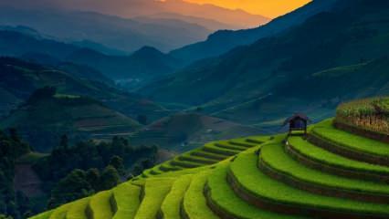 Vietnam'da gezilecek en iyi 9 yer