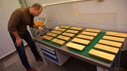 D&uuml;nyanın en ilgin&ccedil; ama ger&ccedil;ek bilgileri