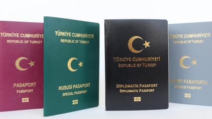 Hangi renk pasaport daha güçlüdür? 