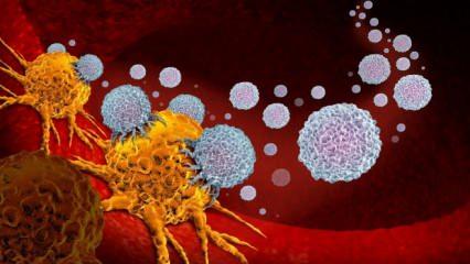 Dünya'da son 24 saat içinde koronavirüs gelişmeleri: Vaka sayısı 215 bin!