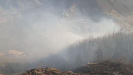 Ordu'daki orman yangını kontrol altına alındı