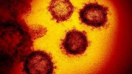 Sağlık Bakanlığı Coronavirüsten korunmanın 14 kuralını açıkladı