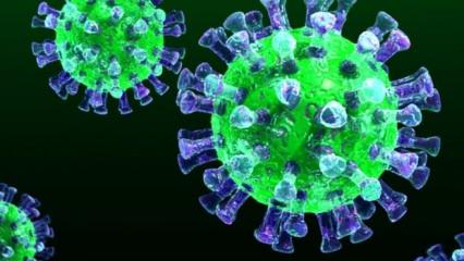 Favipiravir İlacı nedir, Favipiravir koronavirüsü iyileştiriyor mu?