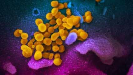 Bilim insanlarından korkutan açıklama: Mutasyona uğramış 40 koronavirüs bulundu