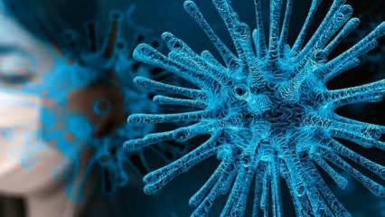 Koronavirüsün en çok yaşadığı sıcaklık derecesi belli oldu