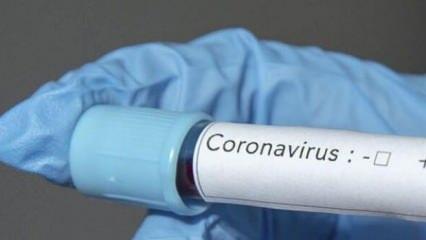 ABD'den koronavirüs adımı: 800 bin eski askeri göreve çağırdı