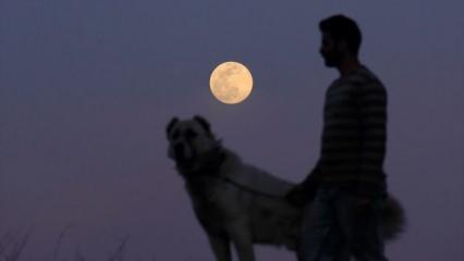 Türkiye'den muhteşem 'Süper Ay' manzaraları