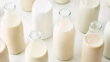 Sahurda süt içmek yararlı mı zararlı mı? Sahurda beş bardak süt içerseniz...