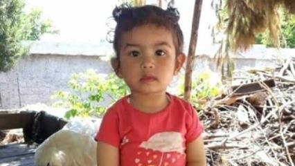 3 yaşındaki minik Kader'in yasa boğan ölümü