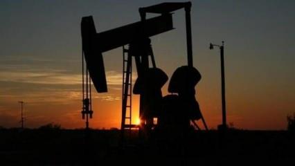 ABD'nin petrol sondaj kulesi sayısı 6 hafta üst üste azaldı