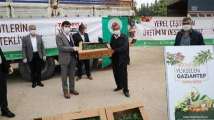 Gaziantep Büyükşehir Belediyesi, çiftçiye yönelik dev desteğini sürdürüyor