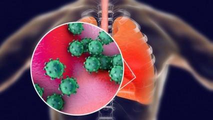 Koronavirüs vücutta 27 güne kadar kalabiliyor! Bilim Kurulu üyesi duyurdu