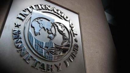 Pandemiye karşı IMF'nin olağanüstü önlemlere ihtiyacı olabilir