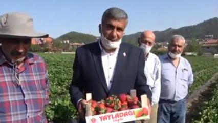 Bayır-Bucak Türkmenlerinden Ümit Özdağ'a çilekli mesaj!		