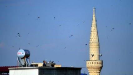 Adana'da uçurtma uçurmak ve satmak yasaklandı