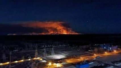 Çernobil yangını, bölgedeki bitki örtüsünün %5'ini yok etti