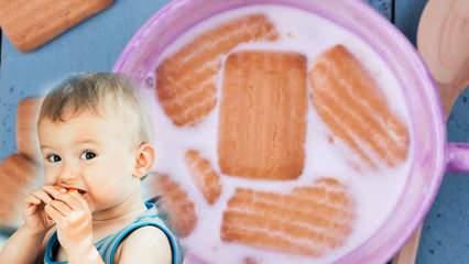 Ev yapımı pratik bebe bisküvisi tarifi! En sağlıklı ve kolay bebe bisküvi nasıl yapılır?