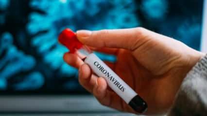 Koronavirüsten iyileşenlerin sayısı 1 milyon 150 bini geçti