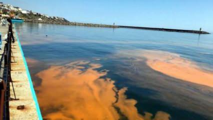Tekirdağ sahilleri turuncu renge büründü