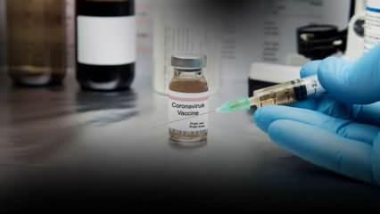 Farenin vücudundan üretildi! Koronavirüsü insan hücresinde öldüren dünyadaki ilk aşı