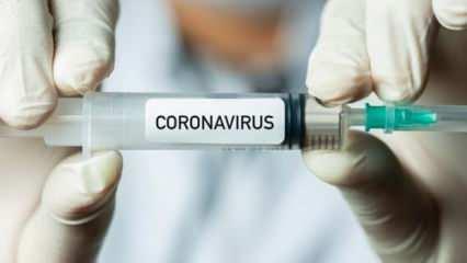 Koronavirüs ikinci kez bulaşır mı? Noktayı koydular: İmkansız