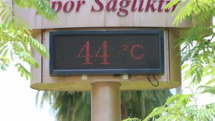 Adana'da termometre 44 dereceyi gösterdi