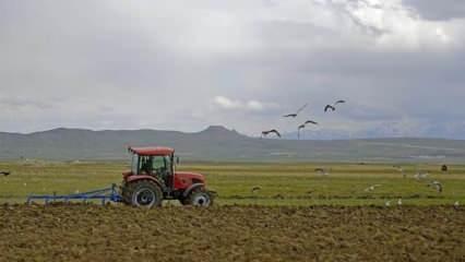 Devlet desteğiyle yüzleri gülen çiftçiler üretime devam ediyor