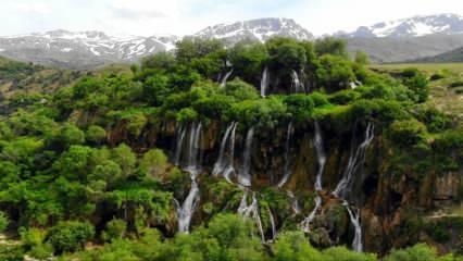 Erzincan'ın doğal güzelliği Girlevik ve Konarlı Şelaleleri
