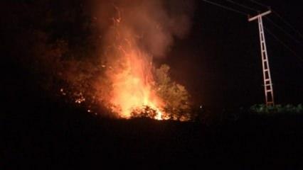 Rize'de orman yangını: Yol olmadığı için müdahale edilemiyor