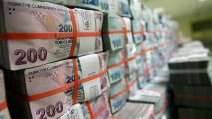 Türkiye Varlık Fonu'ndan kamu bankaları açıklaması