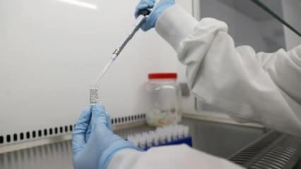 Oxford'lu uzmanlardan koronavirüs açıklaması: Aşı kısmi olarak koruma sağlıyor