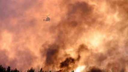 Muğla'da çıkan orman yangınında 50 hektarlık alan kül oldu