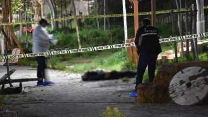 Sivas'ta silahlı kavga: 1 ölü, 1 yaralı