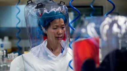 'Yarasa kadın' Shi Zhengli: Koronavirüsten daha kötü...