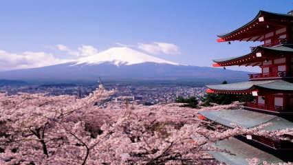 Japonya'dan 'seyahate çık' kampanyası: Günlük bin 250 Lira