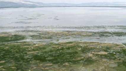 Nasreddin Hoca'nın maya &ccedil;aldığı g&ouml;le yağışlar umut oldu