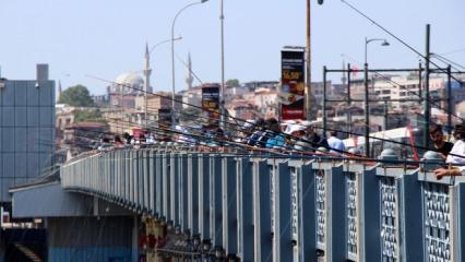 Galata Köprüsü'nde olta balıkçıları yoğunluğu