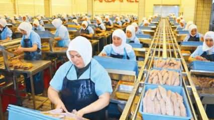 Dardanel yeni d&ouml;neme hazır: Kapasite y&uuml;zde elli, istihdam y&uuml;zde otuz arttı