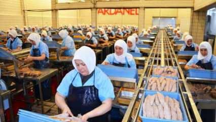 2020&rsquo;de marka değerini en fazla artıran gıda şirketi Dardanel