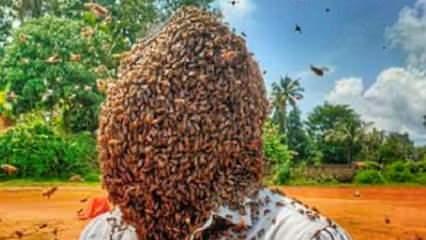 60 bin arıyı kafasında tuttu, rekorlar kitabına girdi