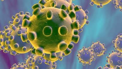 Koronavirüste en riskli gruplar! Bu hastalıklara dikkat