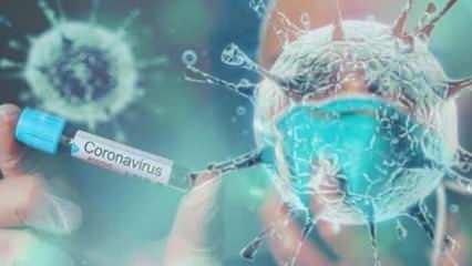 Azerbaycan'da koronavirüs vaka sayısı 11 bin 767’ye yükseldi