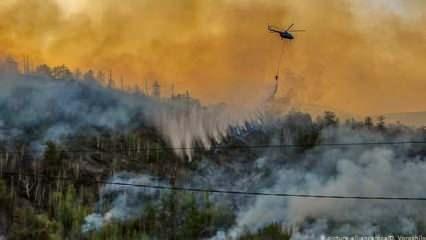 Rusya'da 6 binden fazla orman yangını
