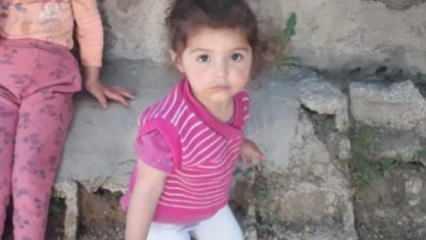 2 yaşındaki kız kayboldu! İkranur'dan sonra Melek