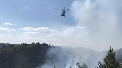 Ormanlık alanda çıkan yangında 2 hektarlık alan zarar gördü