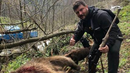Artvin'de yavru ayıyı vurdular: Tepki çeken olayda son dakika gelişmesi