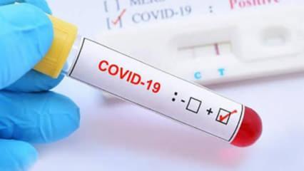 En az koronavirüs vakası görülen ilde vakalar artışa geçti