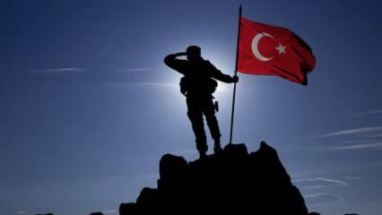 Kritik bölge düştü: Mehmetçik, PKK'nın inine bayrağımızı dikti